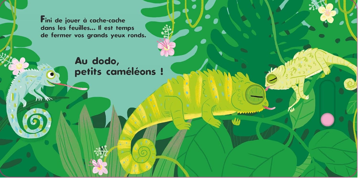 Au dodo - Les amis autour du monde