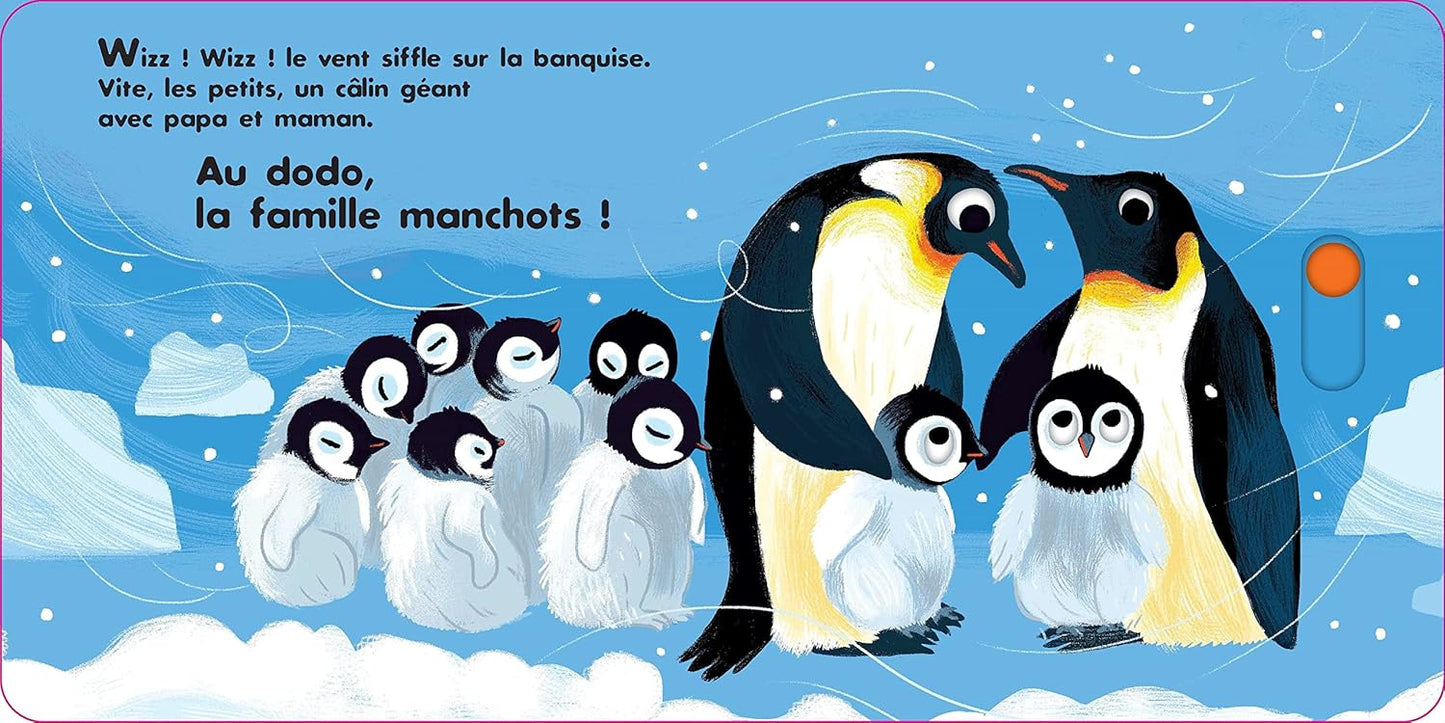 Au dodo - Les amis du froid