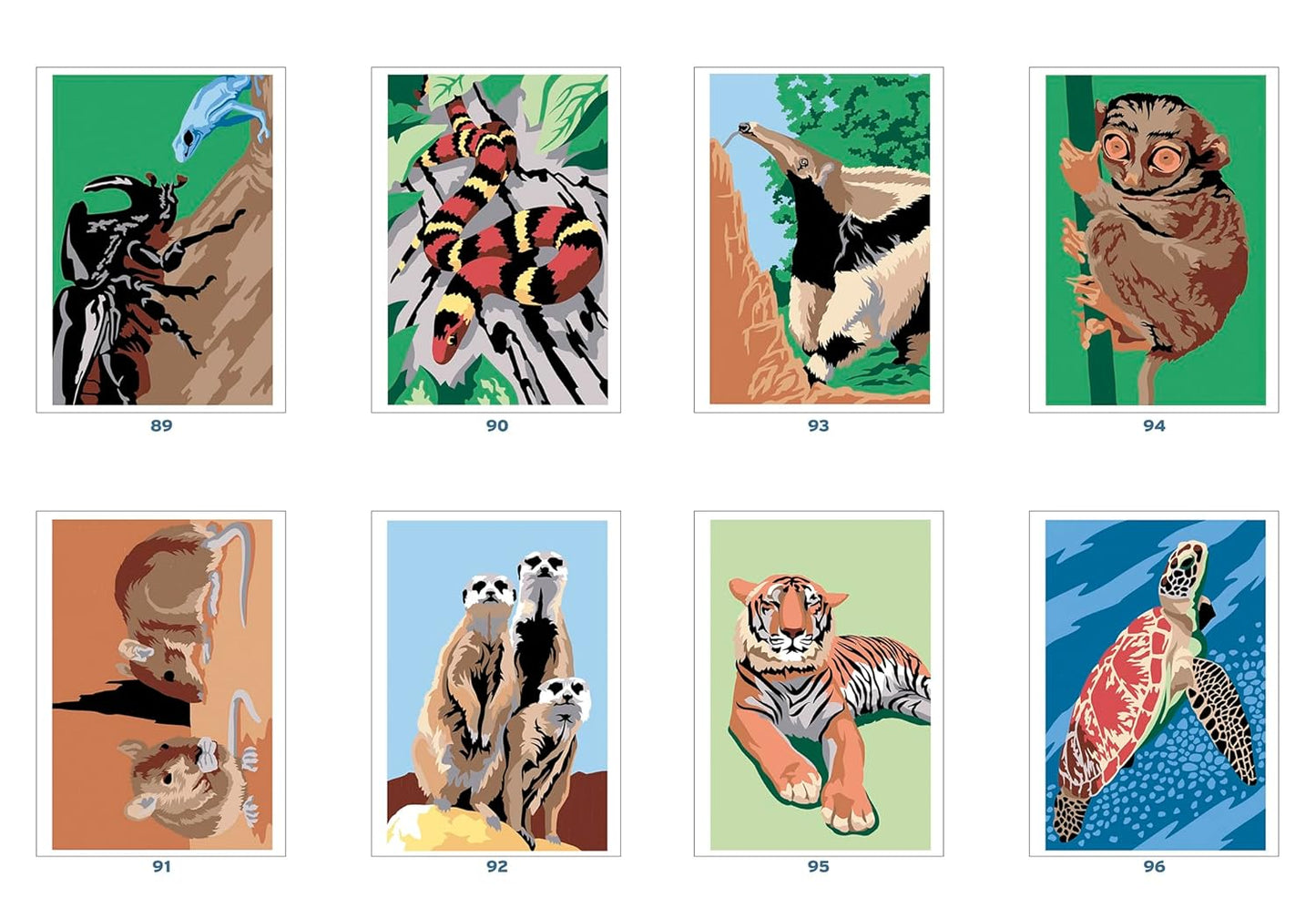 Coloriages mystères - Animaux du monde