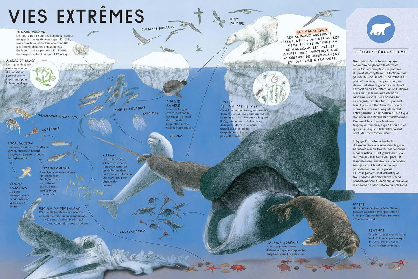 À bord du Polarstern