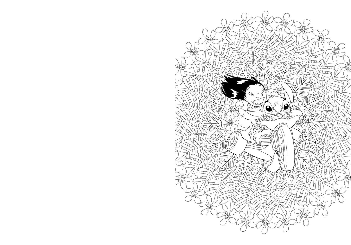 100 % Stitch
