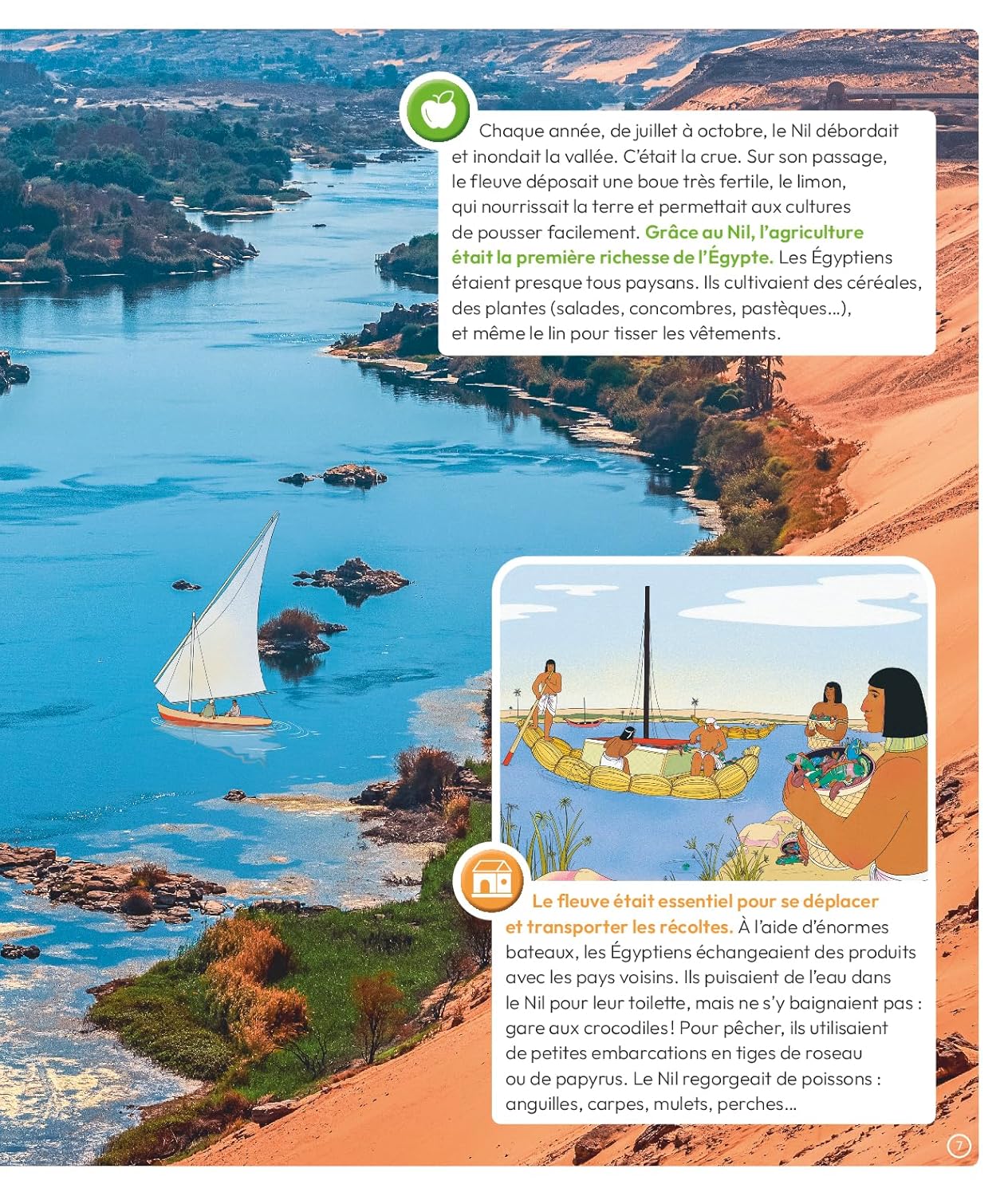 L'Égypte ancienne