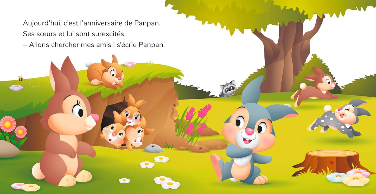 DISNEY - Mes Premières Histoires - Panpan fête son anniversaire