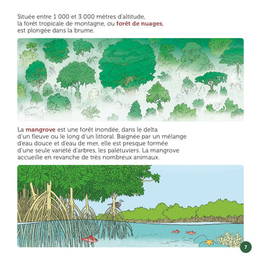 En haut des arbres