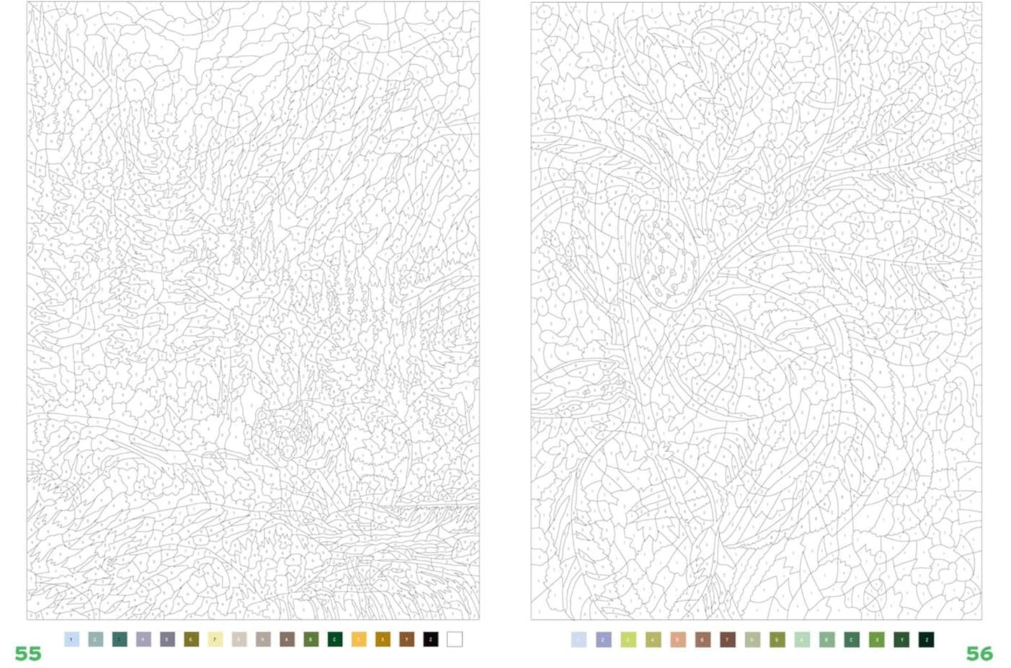 Coloriages mystères - Arbres du monde