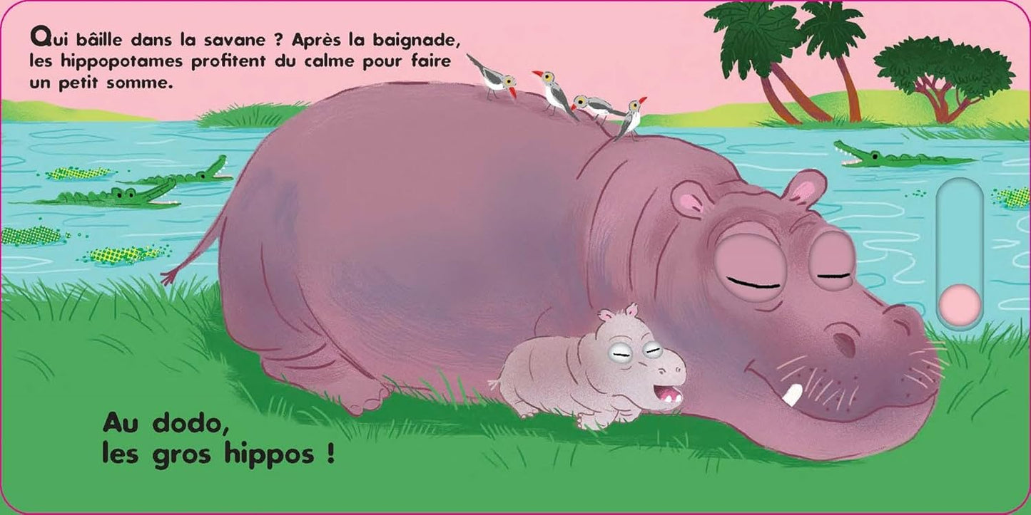Au dodo - Les animaux sauvages