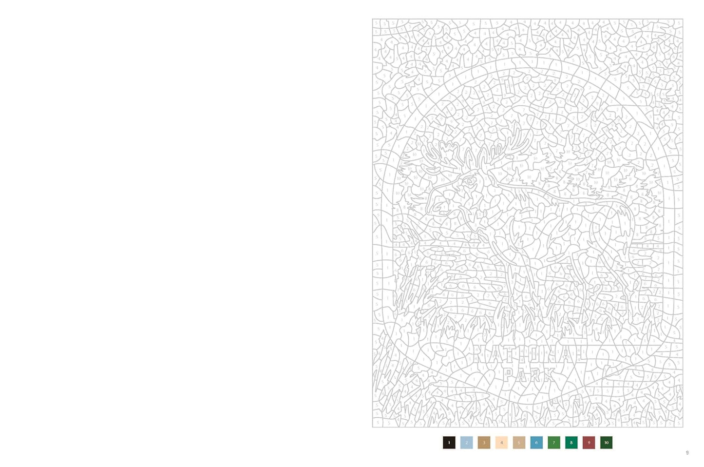 Blasons américains - 40 Coloriages mystère !