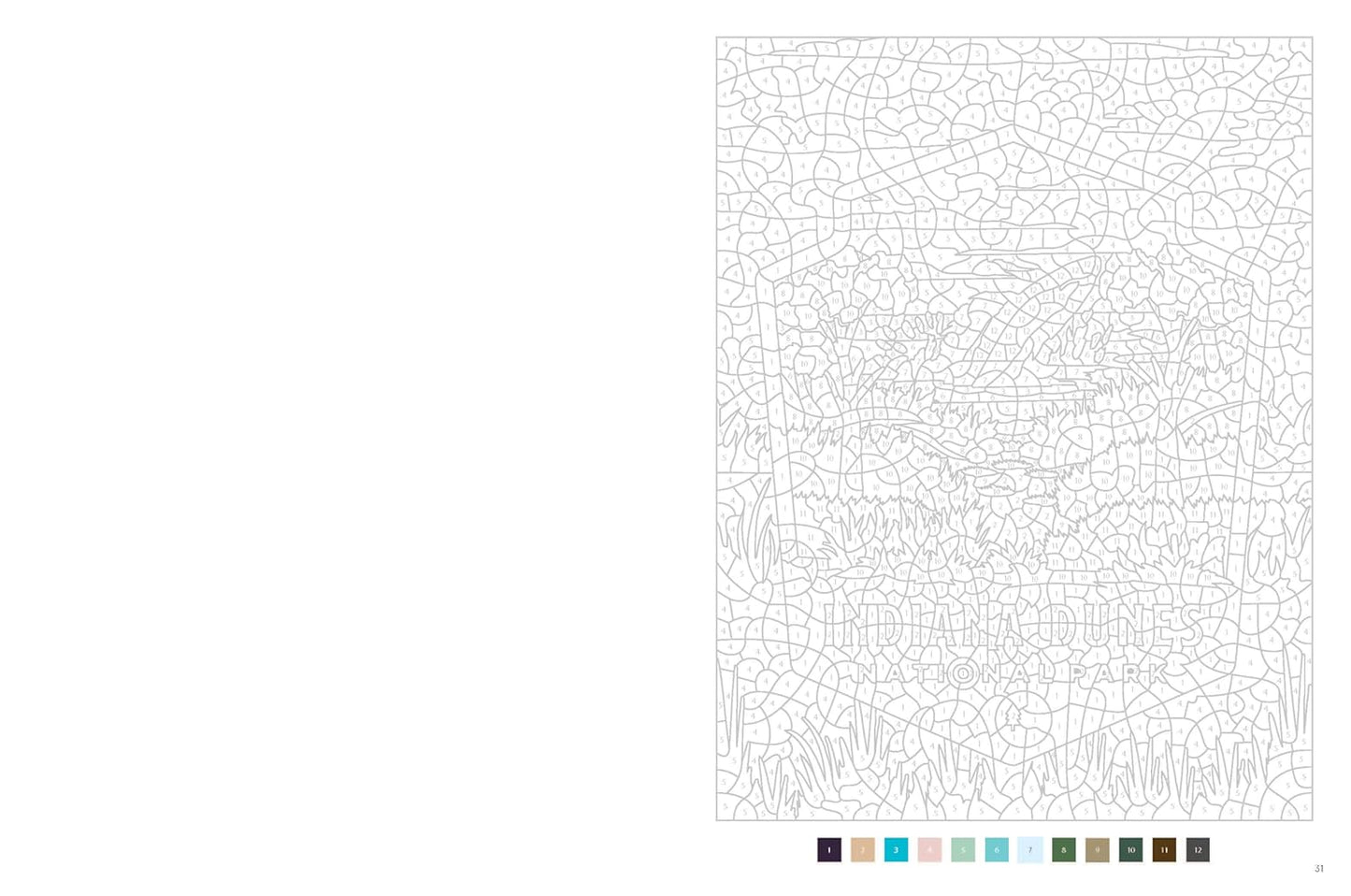 Blasons américains - 40 Coloriages mystère !
