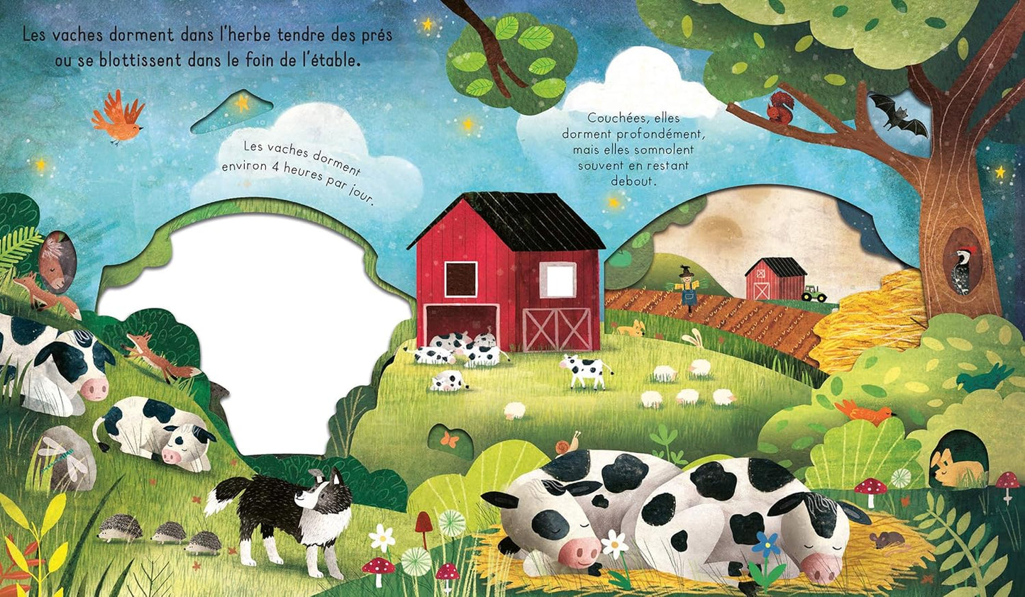 Bonne nuit, la ferme !