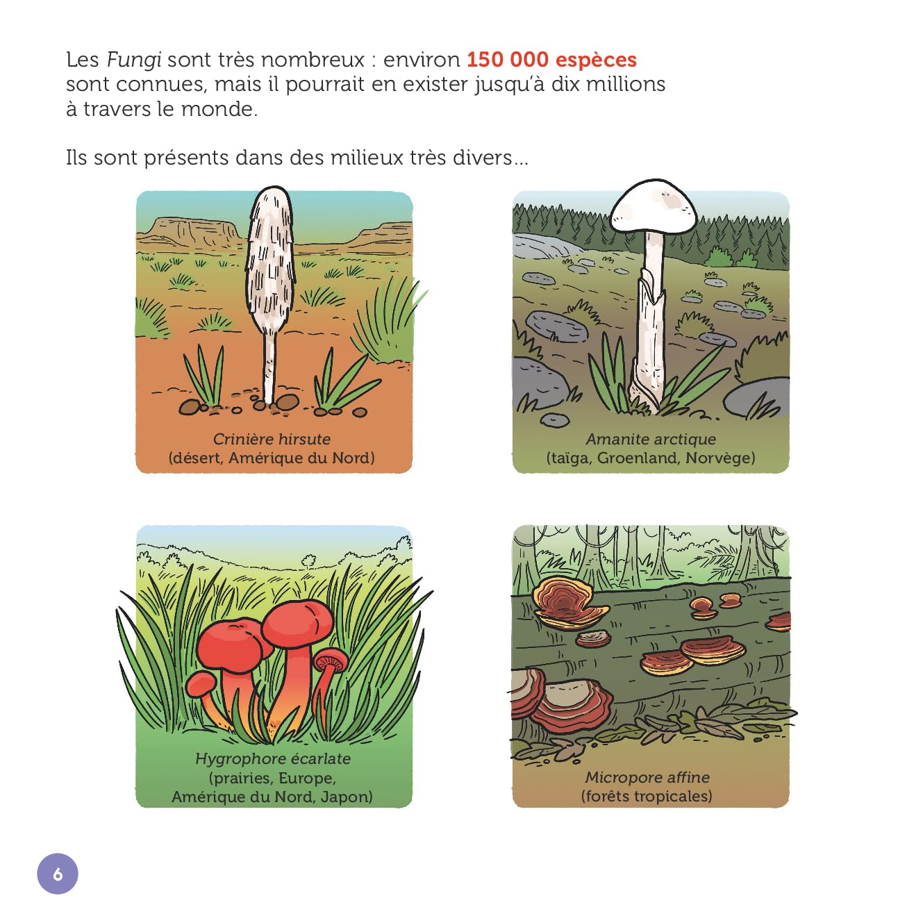Les champignons