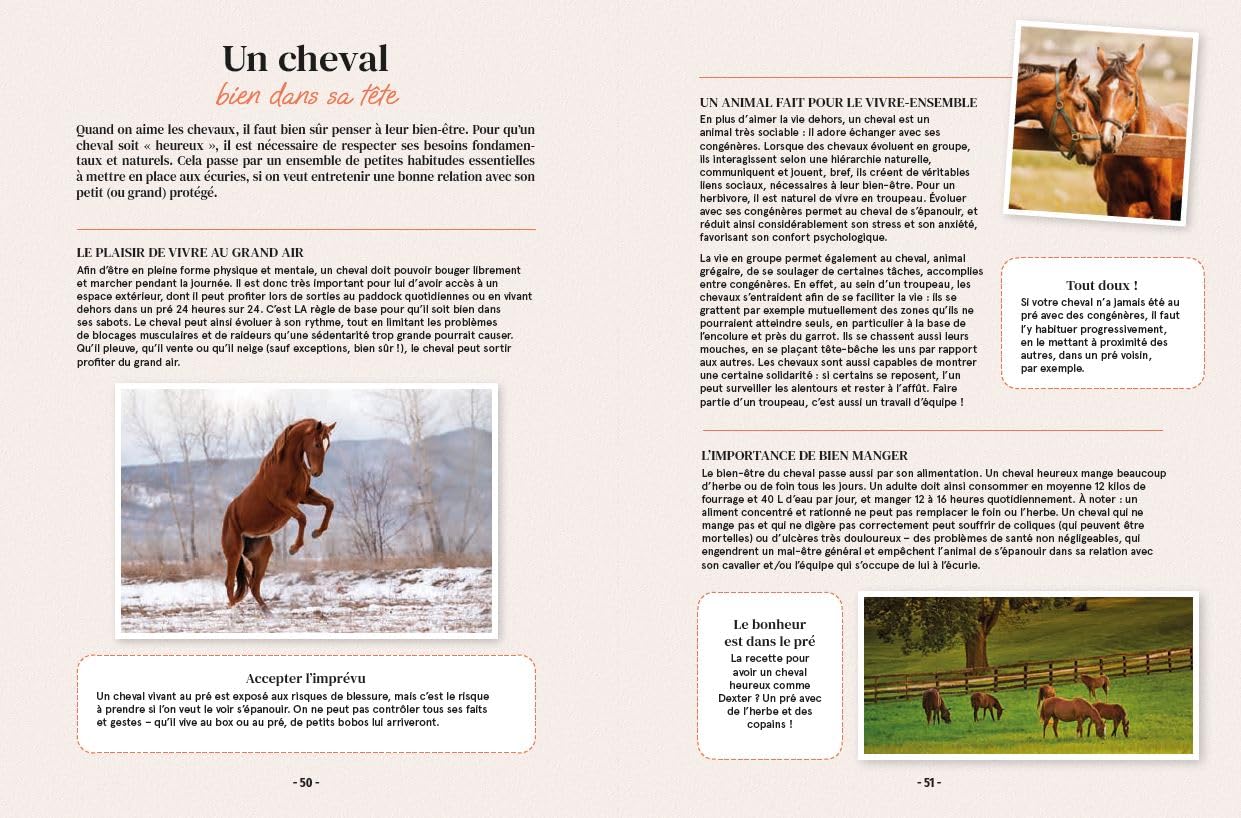 Mon cheval et moi