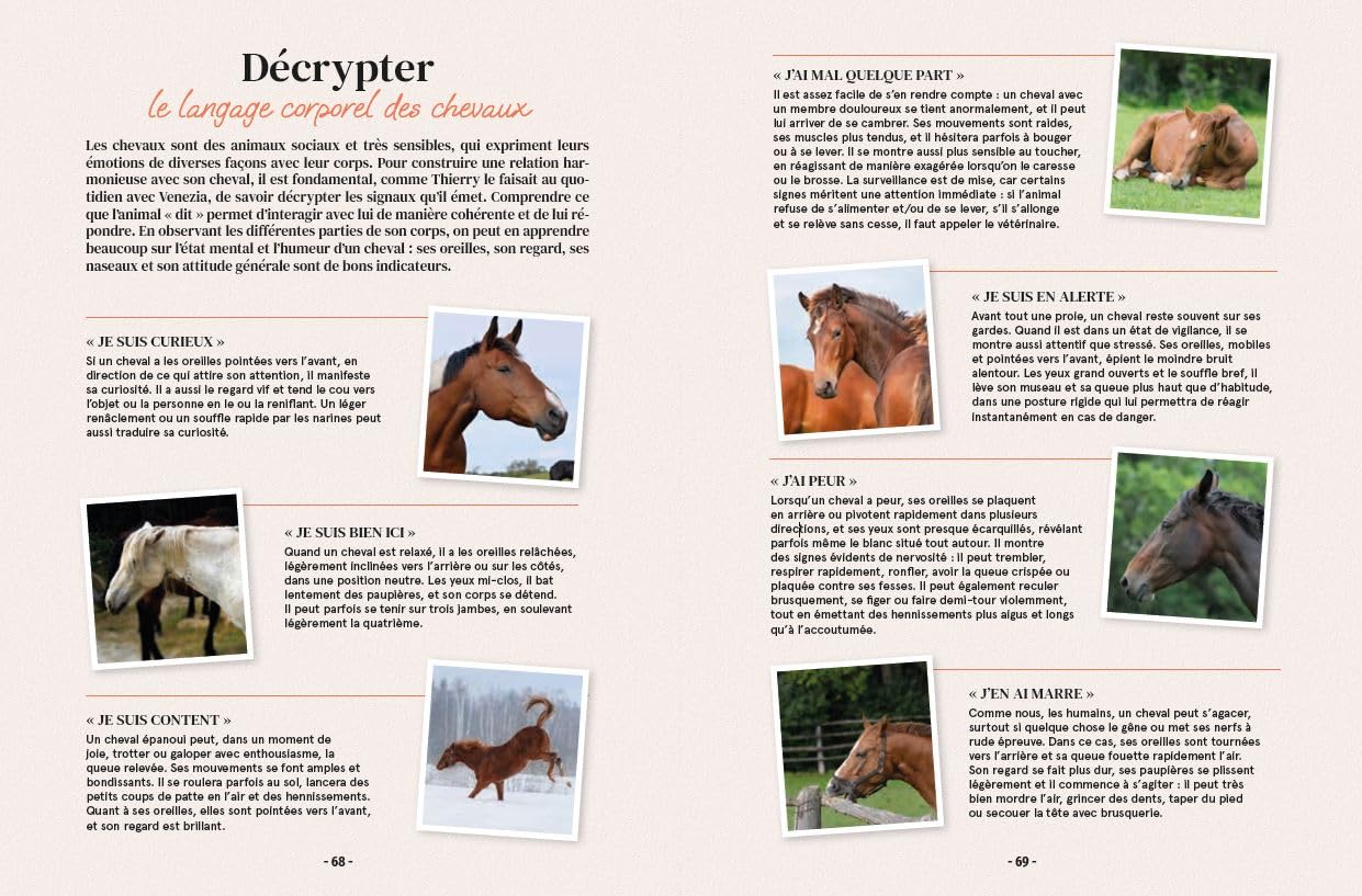 Mon cheval et moi