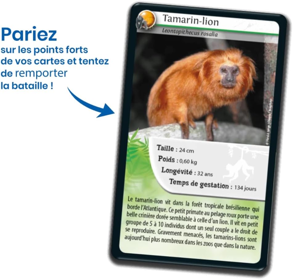 DEFIS NATURE - SINGES ET AUTRES PRIMATES