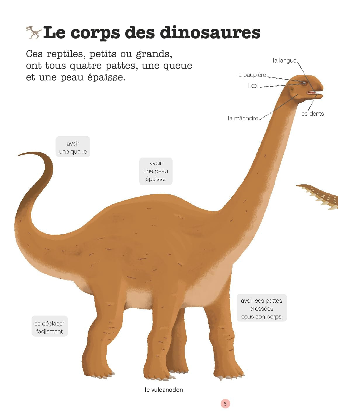 MES ANNÉES POURQUOI - Les Dinosaures - Dès 4 ans