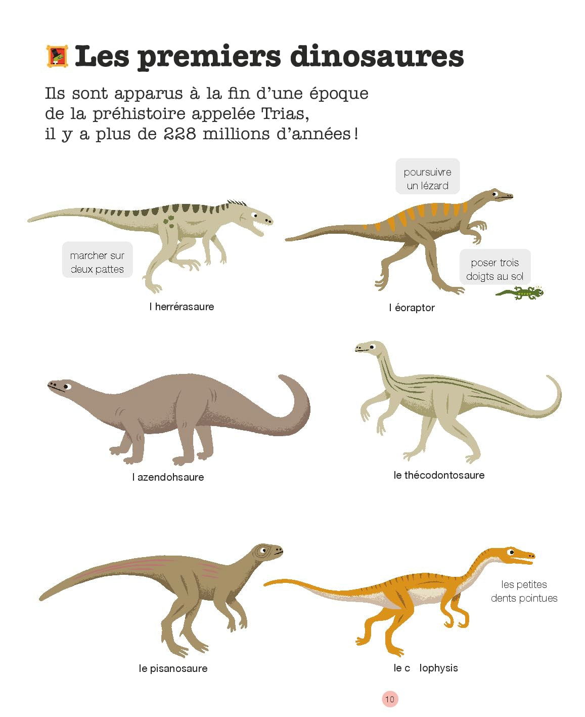 MES ANNÉES POURQUOI - Les Dinosaures - Dès 4 ans