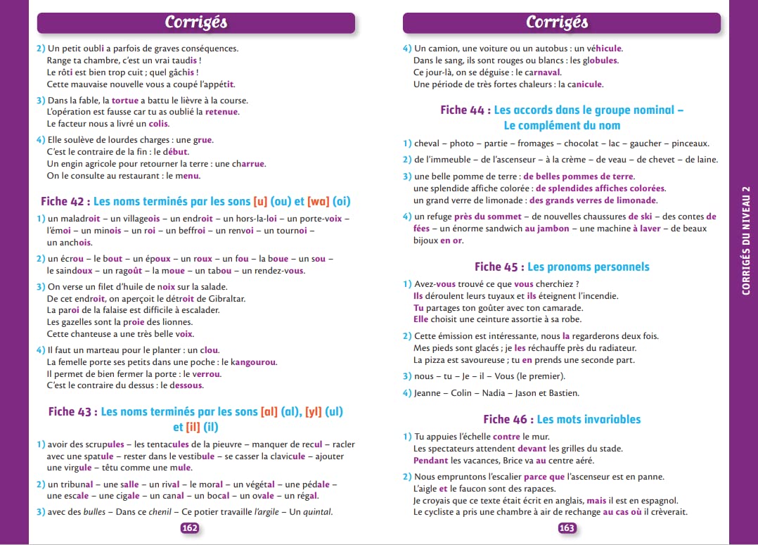 500 dictées et exercices d'orthographe spécial primaire