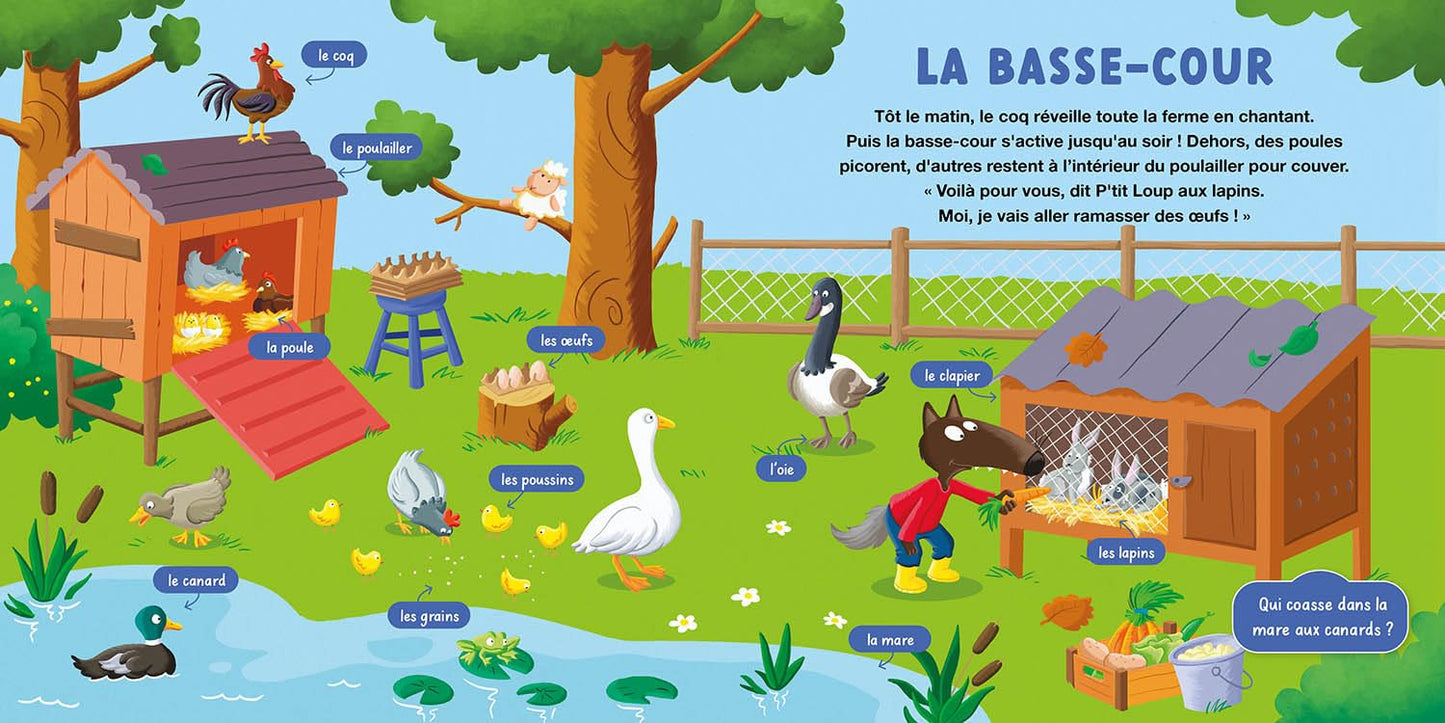 MON DOC P'TIT LOUP - LA FERME
