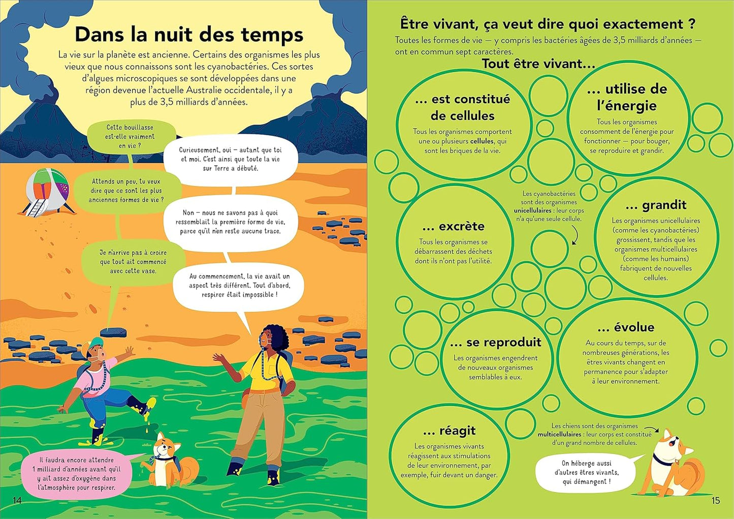 L'écologie pour les débutants