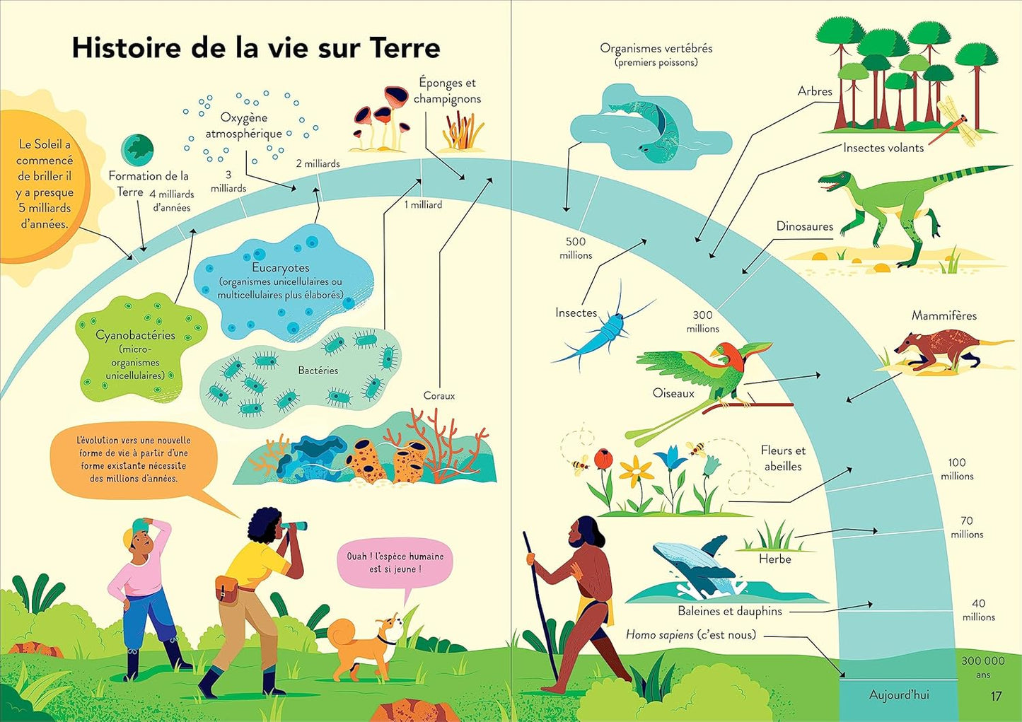 L'écologie pour les débutants