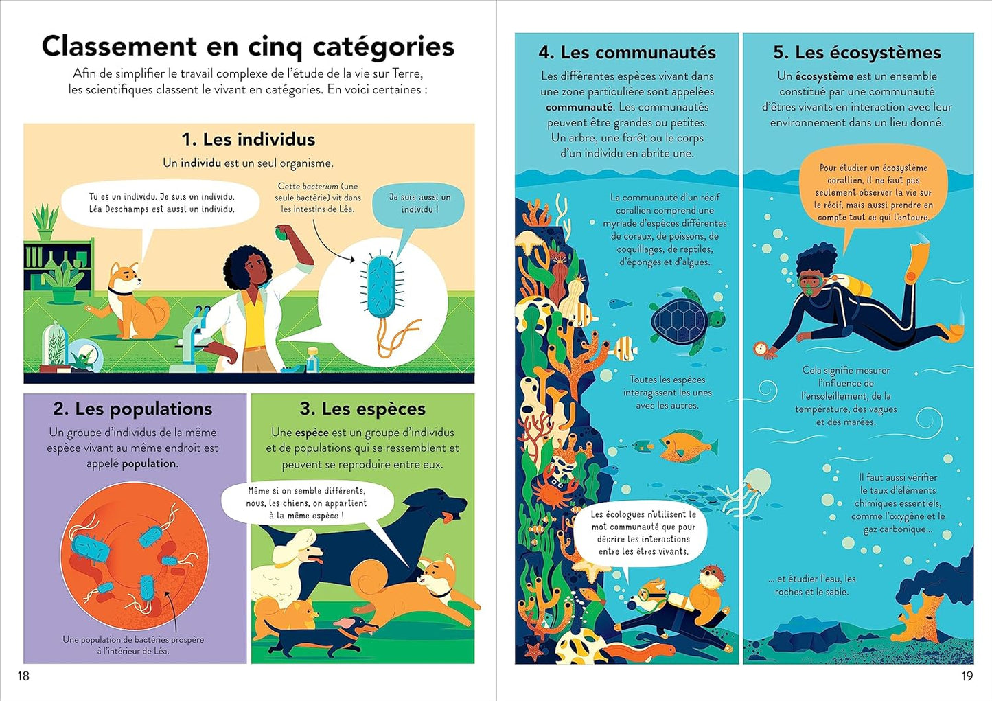 L'écologie pour les débutants
