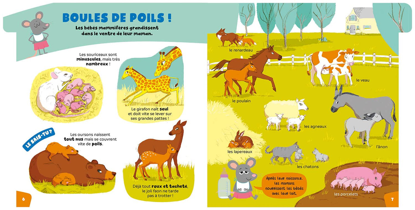 L'encyclo des super-curieux