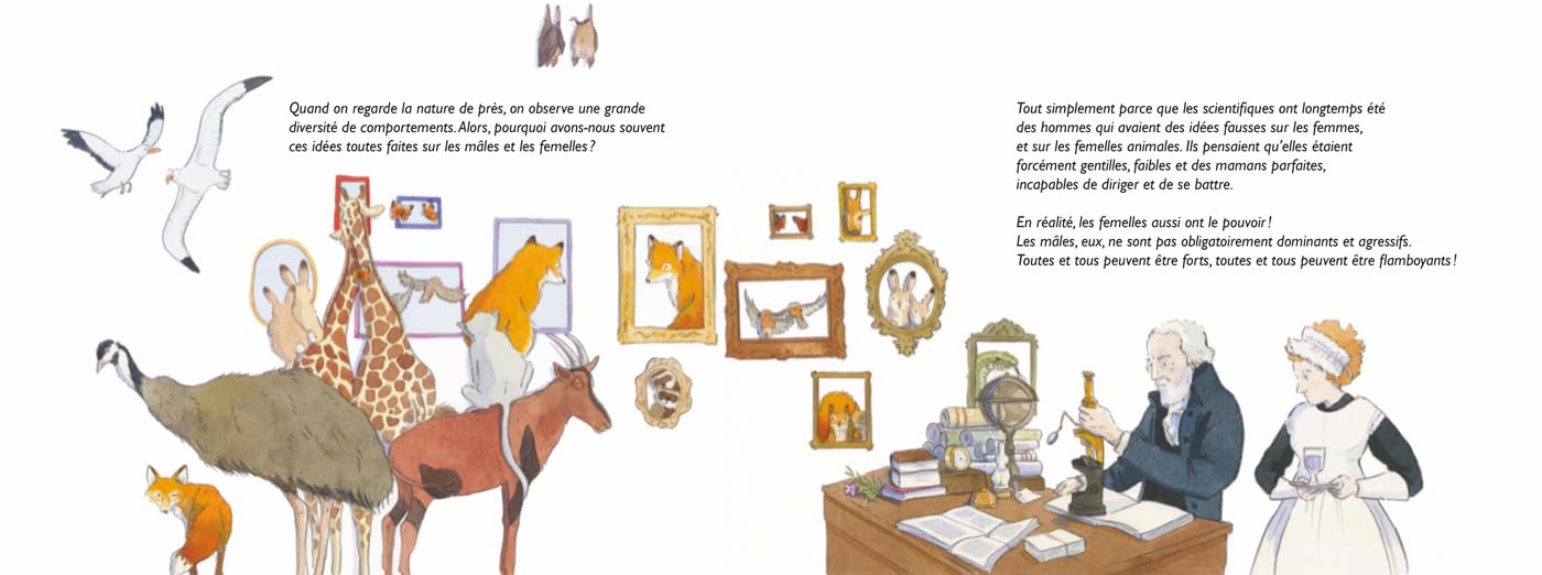 Fortes et flamboyantes ! - Les Femelles dans le monde animal