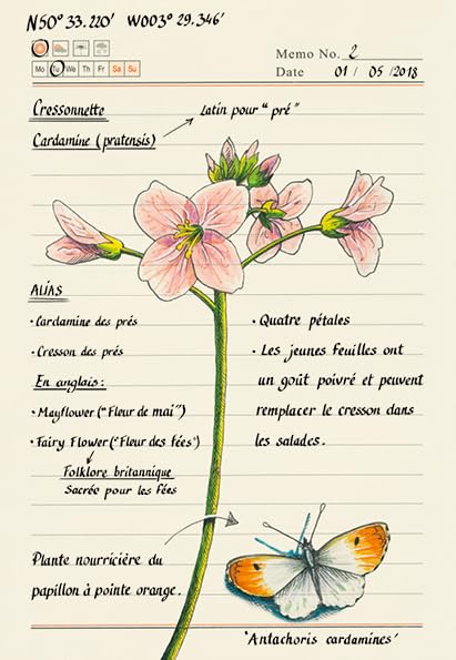 Forêt secrète