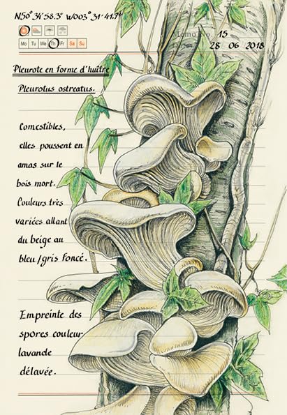 Forêt secrète