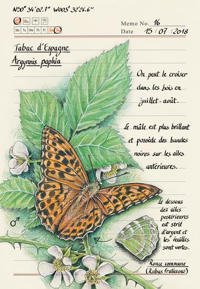Forêt secrète