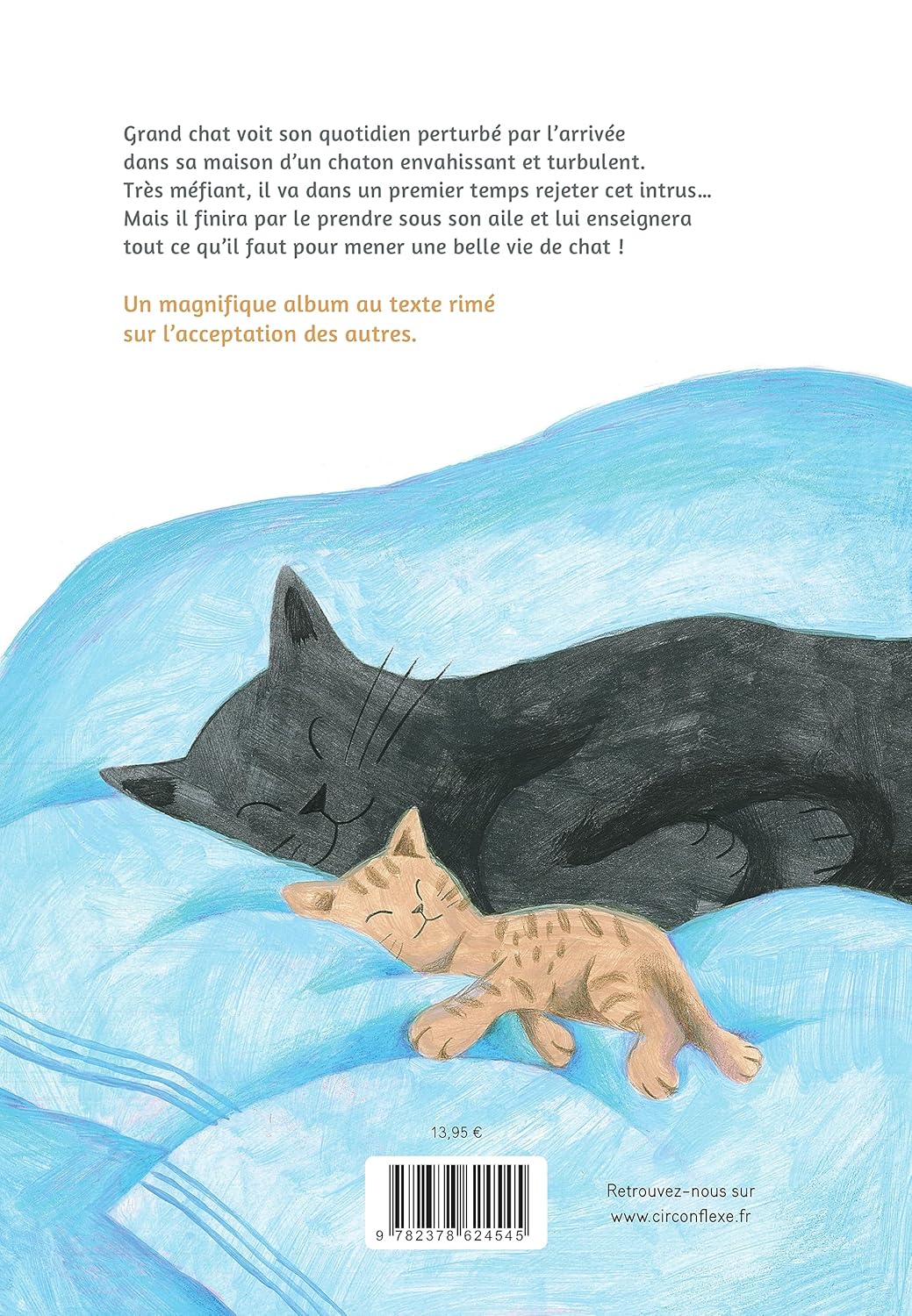 Grand chat, petit chat