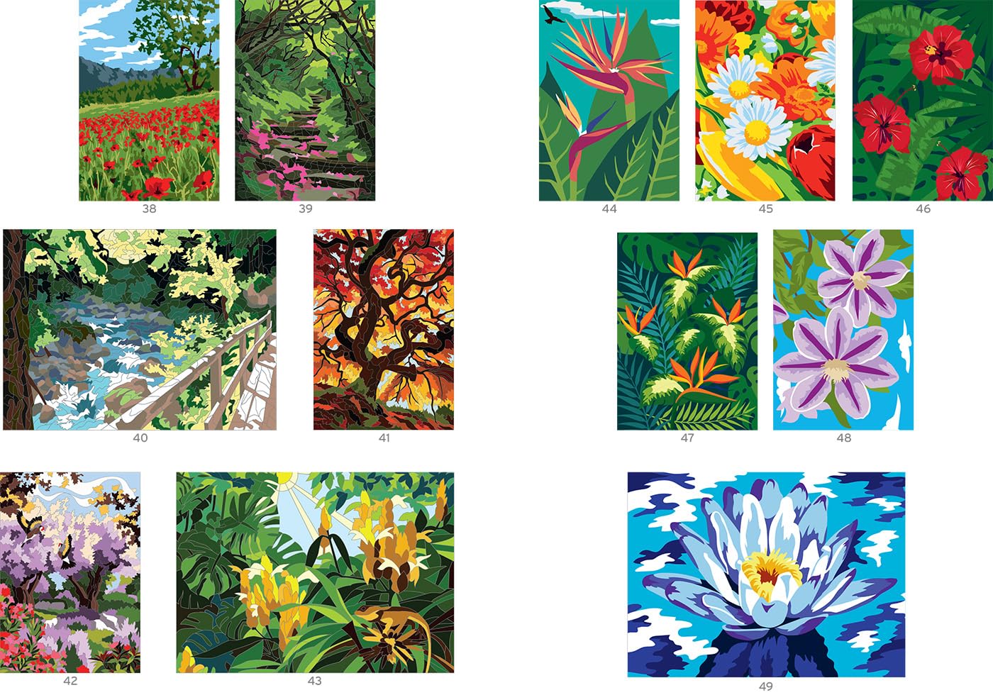 Coloriages mystères - Jardins extraordinaires