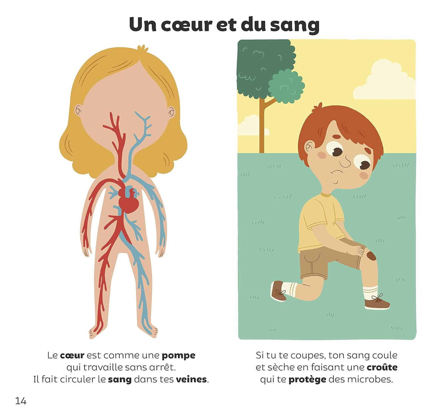 Le corps