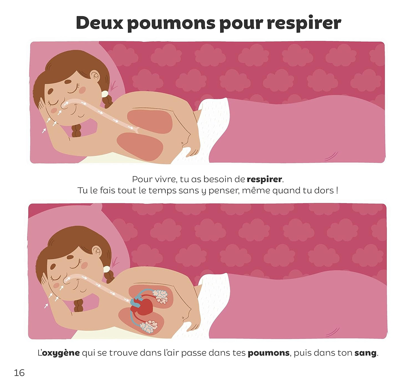 Le corps