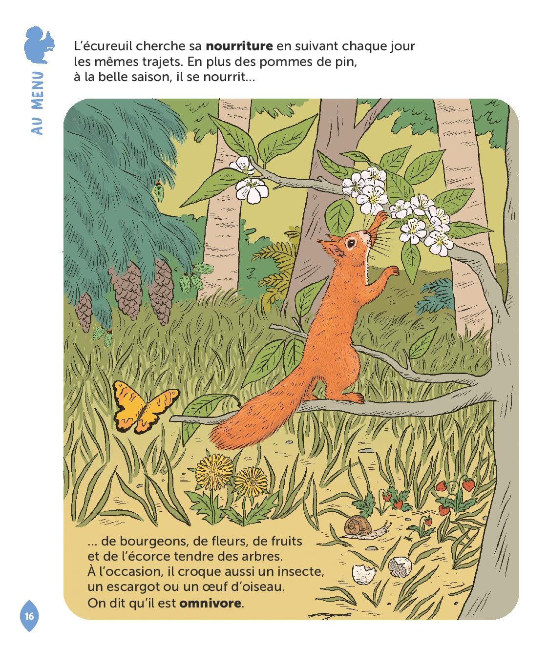 L'écureuil