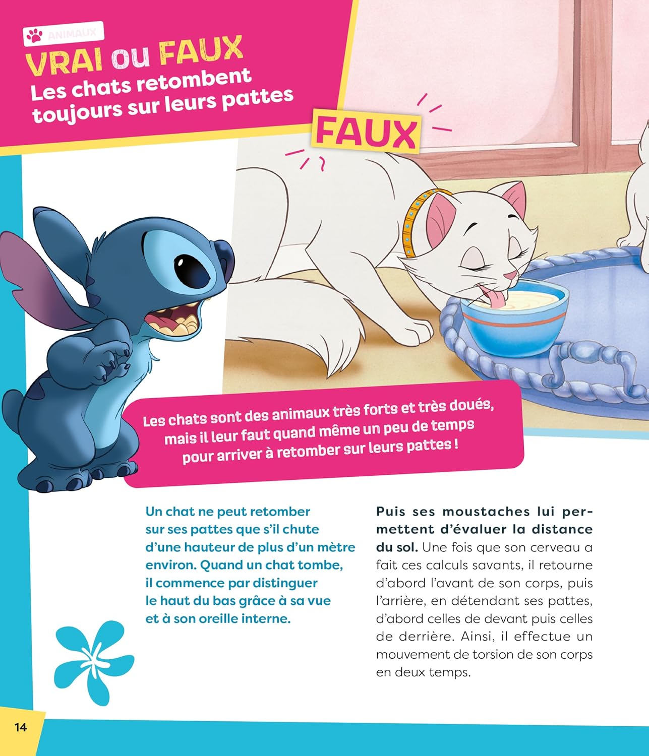 STITCH découvre le monde - La science avec Stitch en 100 questions ! - Disney