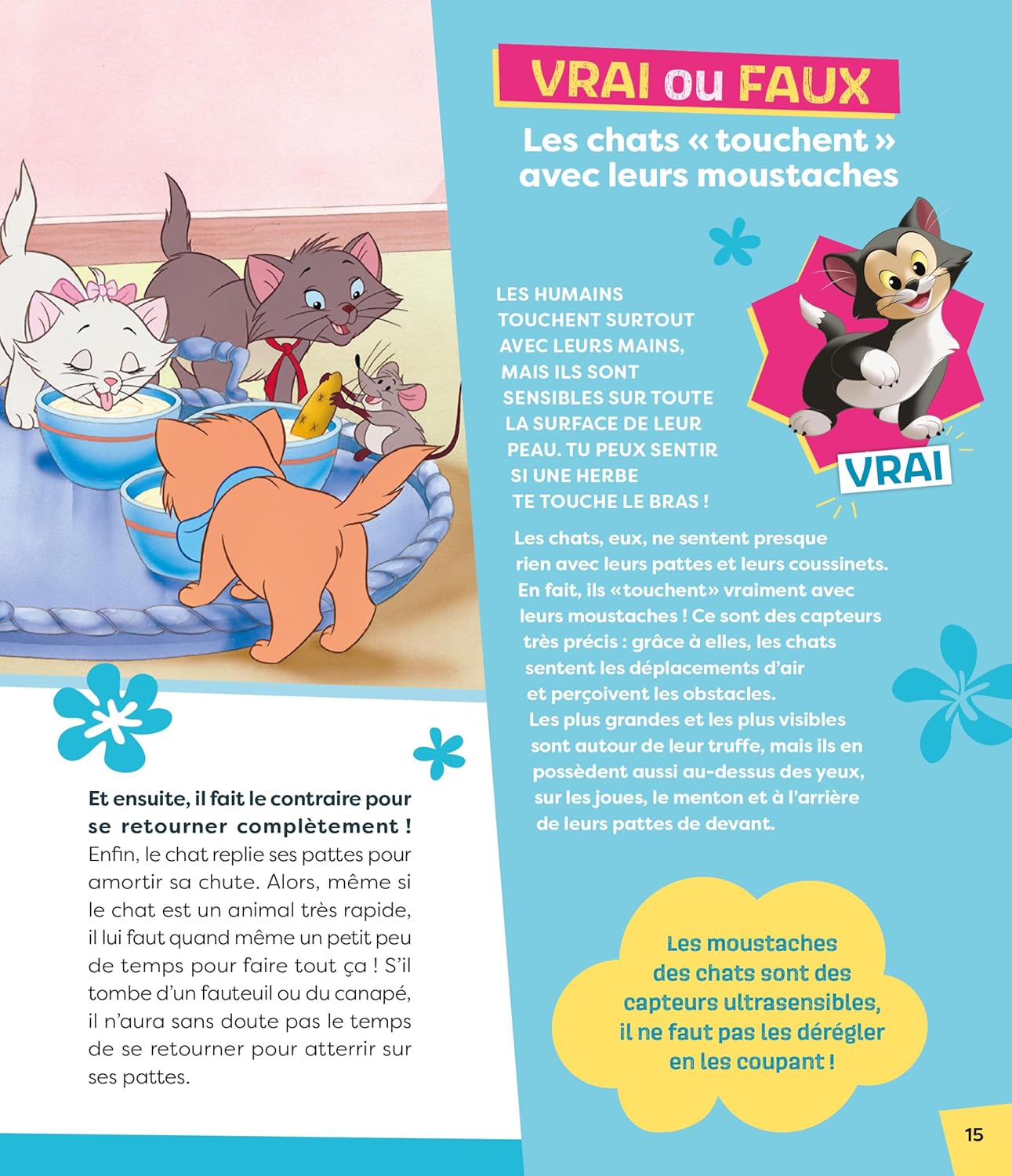 STITCH découvre le monde - La science avec Stitch en 100 questions ! - Disney