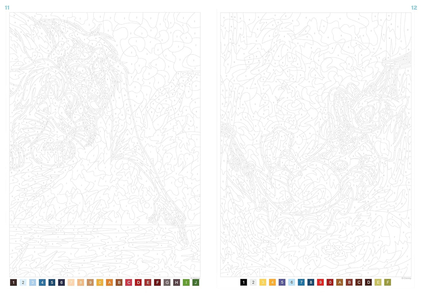 Coloriages mystères Disney - Nature