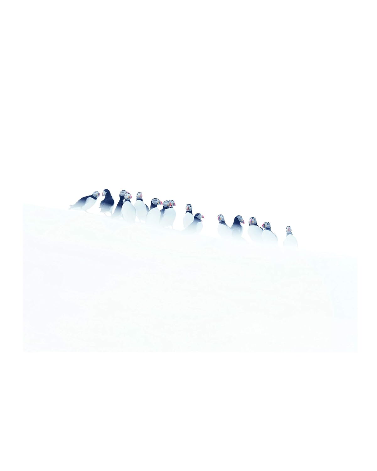 Première neige