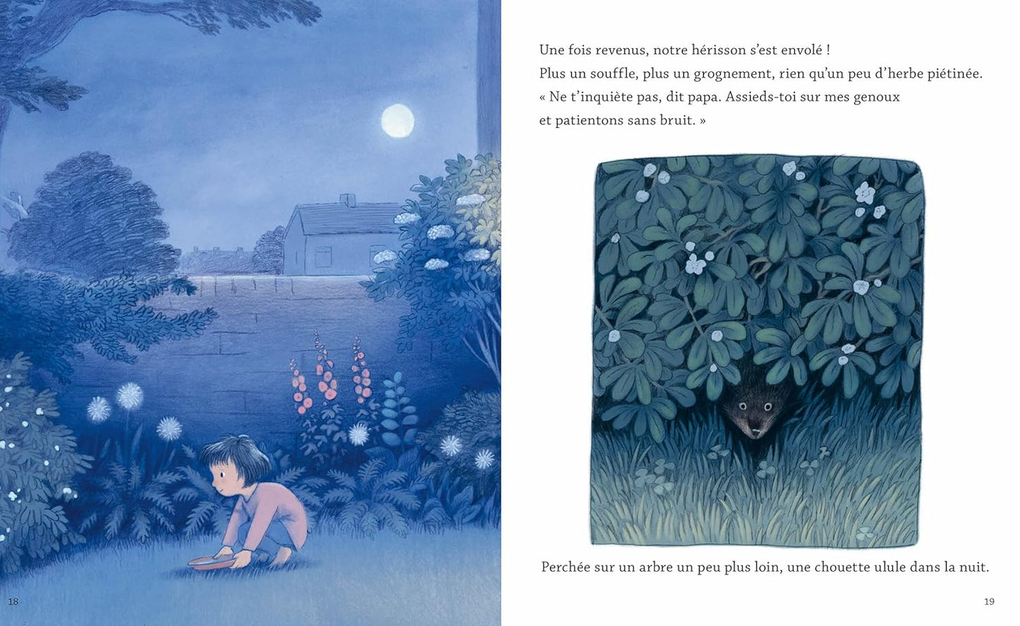 La nuit du hérisson