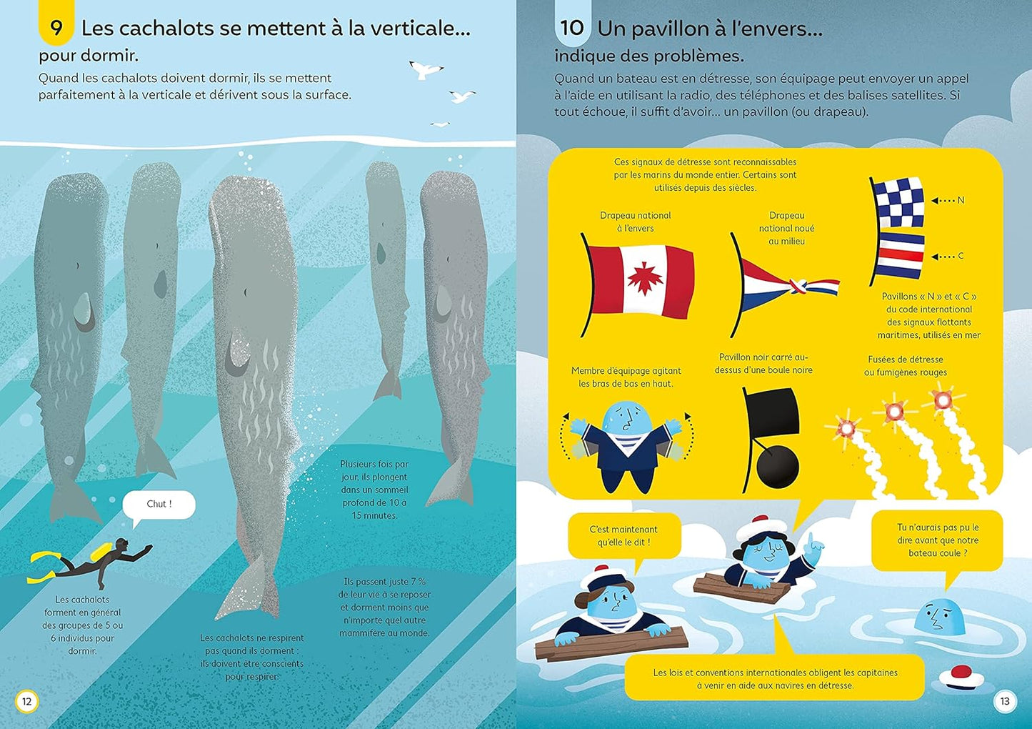 100 infos insolites sur les océans