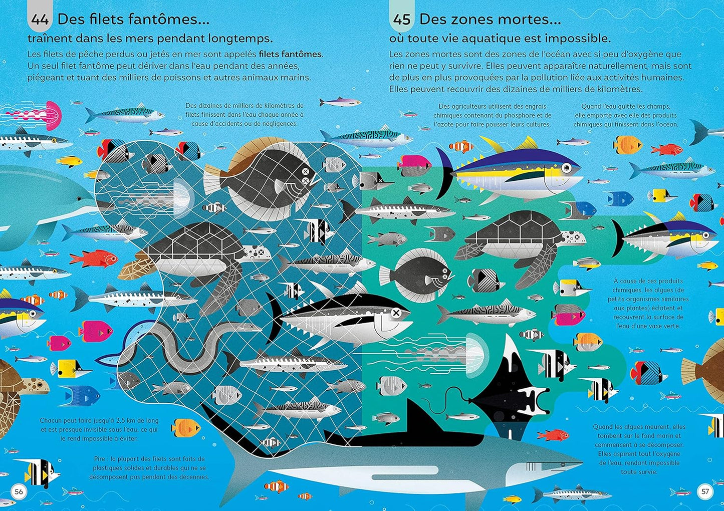 100 infos insolites sur les océans