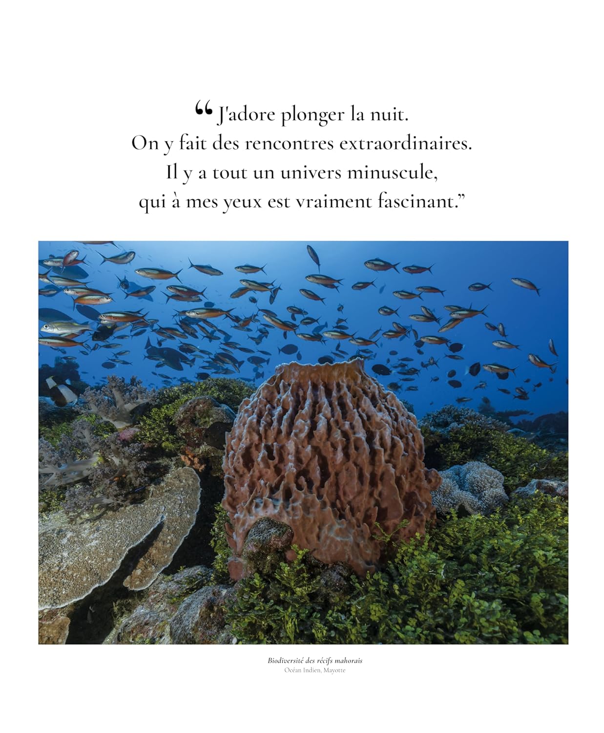 Océan