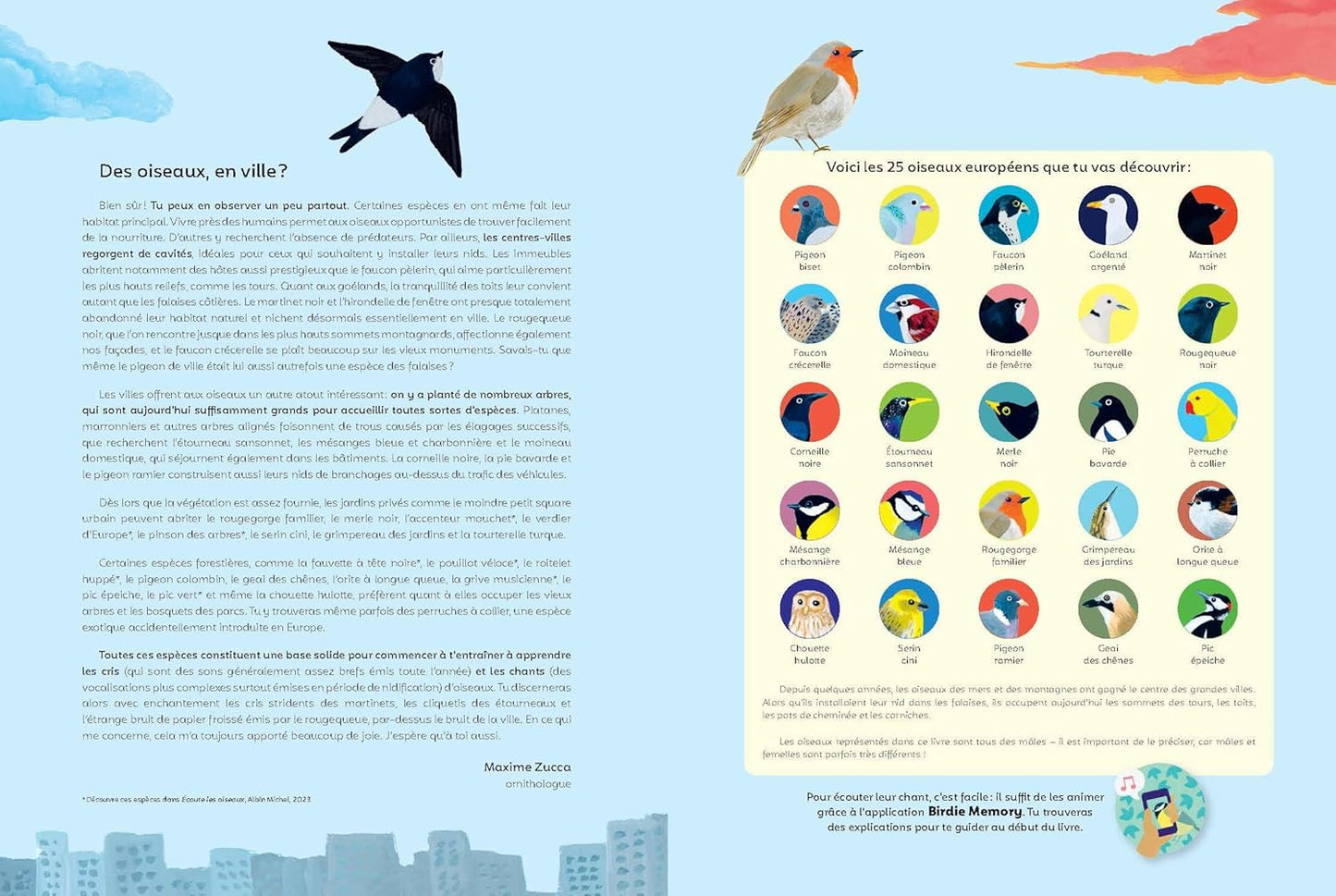 Ecoute les oiseaux des villes