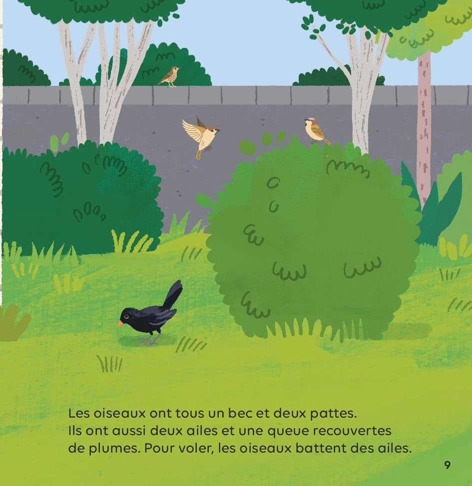 Les oiseaux