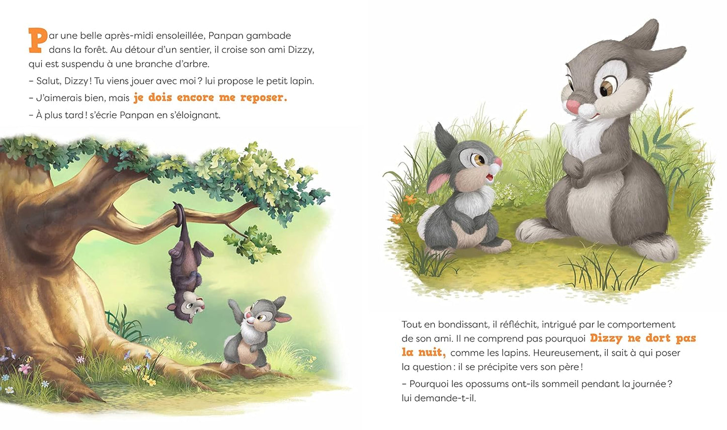 DISNEY - Les nouvelles histoires de Panpan - Bonne nuit, Panpan !