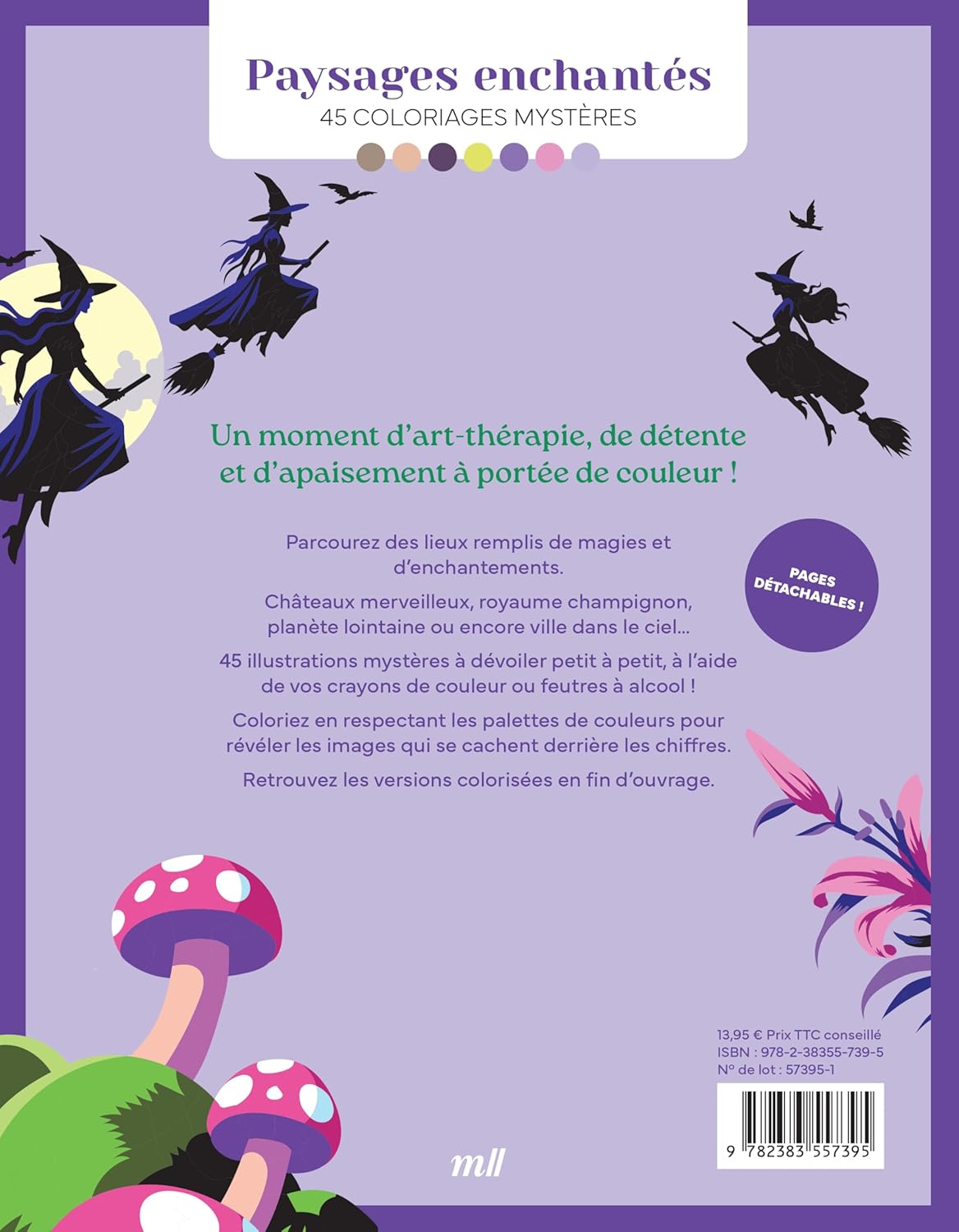 Paysages enchantés - 45 coloriages mystères