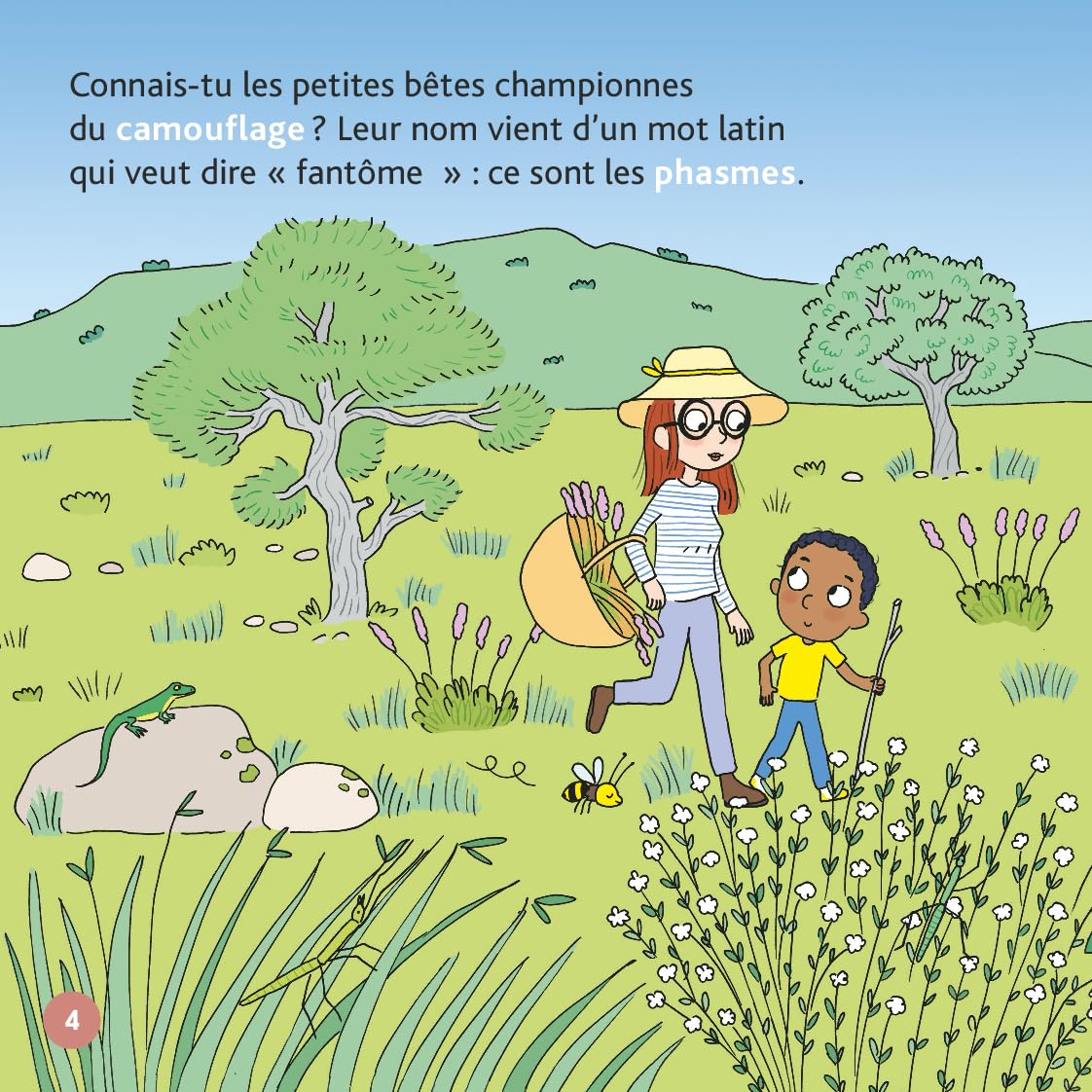 Les phasmes