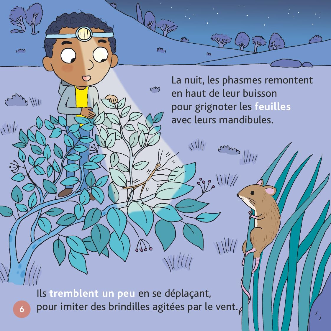 Les phasmes