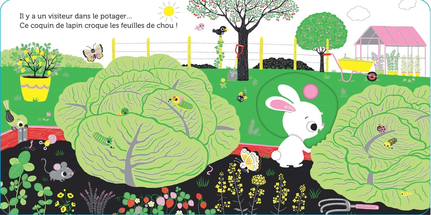 Promenade au potager