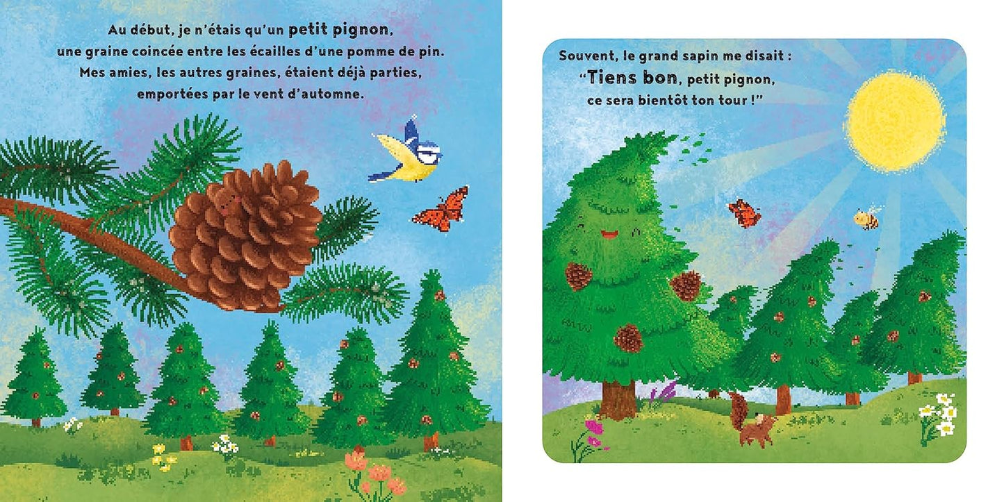 LE PETIT SAPIN DE NOEL
